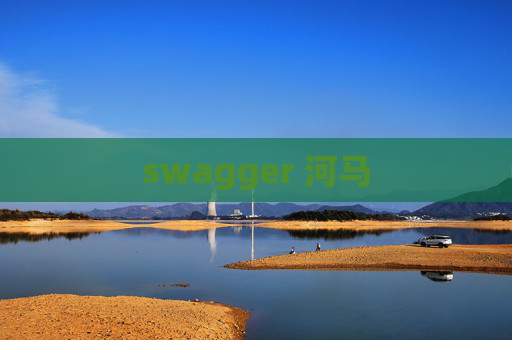 swagger 河马